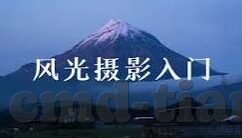 91天美麻豆视频-关键探索，揭秘91天美麻豆视频背后的真相与警醒
