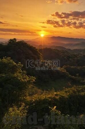 大象传媒18勿进大象62-大象传媒的多元探索与大象62的独特视角