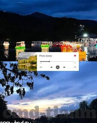大象传媒被抓了-大象传媒事件，行业监管与道德边界的深刻反思