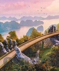 大象传媒网址是什么-探索大象传媒，网络文化的广阔舞台