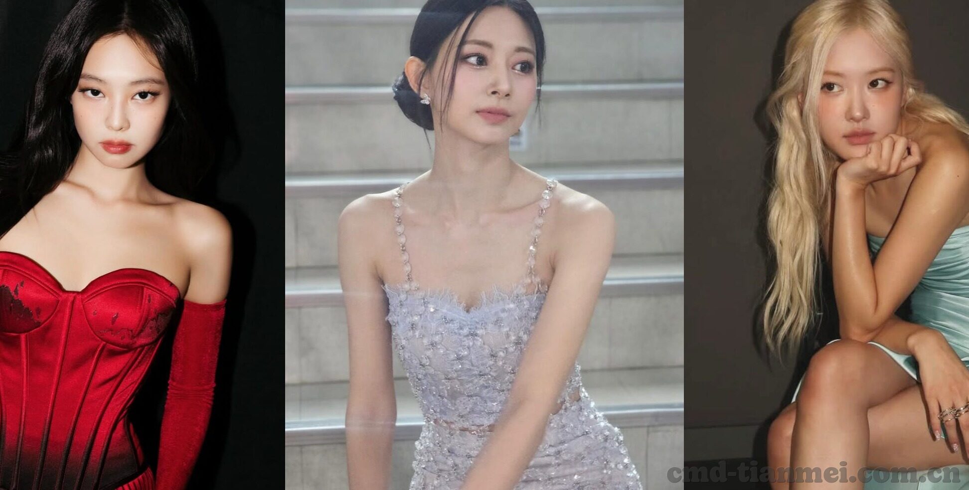 大象一二三区别视频-探索大象，从一二三到视频的奇妙旅程
