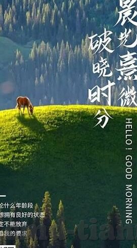 精品人妻一区二区三区麻豆91-品味优雅，探索精品人妻题材的独特魅力