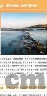 麻豆app破解版ios下载-麻豆应用，穿越数字与界限的灰色旅程