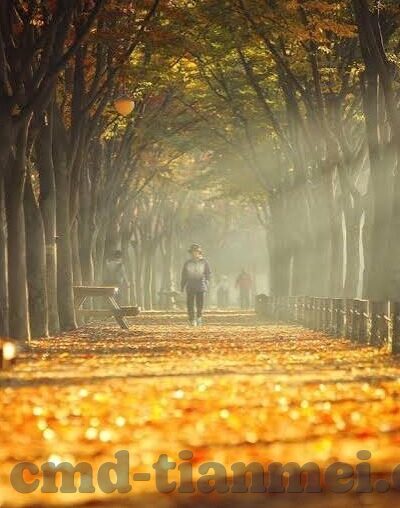 麻豆直播下载app官方-如何安全享受直播的快乐——洞悉麻豆直播下载官方面面