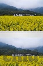 日本成人在线电影视频-探索日本成人在线电影视频的多元文化视角