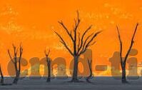 日韩av种子ftp-日韩AV种子FTP，网络资源分享的灰色地带