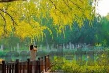 日韩午夜理论av在线观看-日韩午夜理论AV的在线观看，文化、伦理与个人选择的交织
