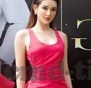 糖心app破解版免vip-独家揭秘，深入探究糖心APP的未授权使用现象
