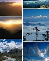 糖心视频app下载安装软件-穿行在数字海洋的甜蜜瞬间——糖心视频应用探索之旅