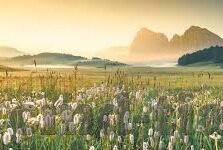 糖心视频app下载汅ap-重塑娱乐体验，探索无边界的观影新选择