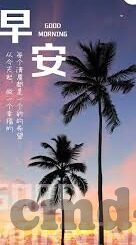 糖心vlog可爱兔-创建生活乐趣，糖心Vlog中的可爱兔小记