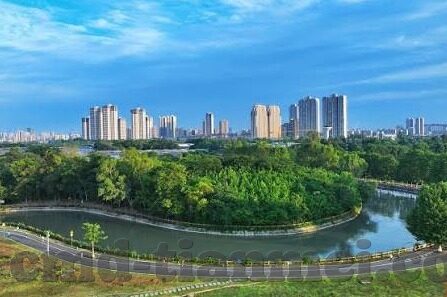 www.麻豆视频-探寻视频娱乐的新维度 —— 麻豆视频的精彩探索